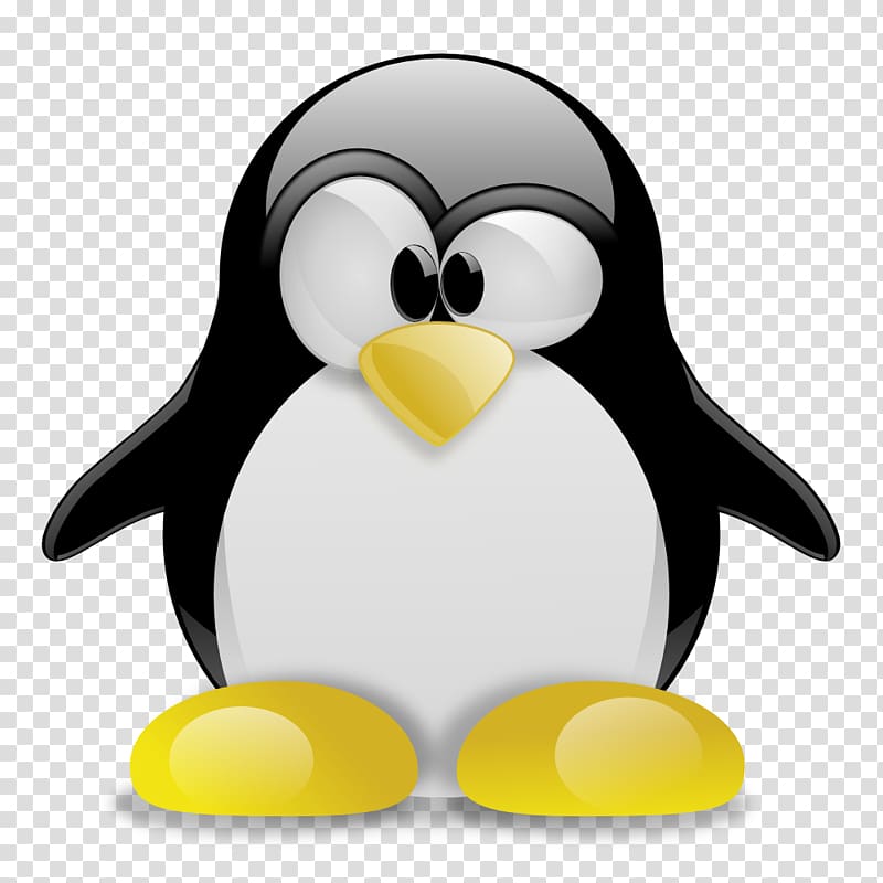 Linux